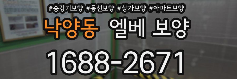 낙양동 엘베 보양