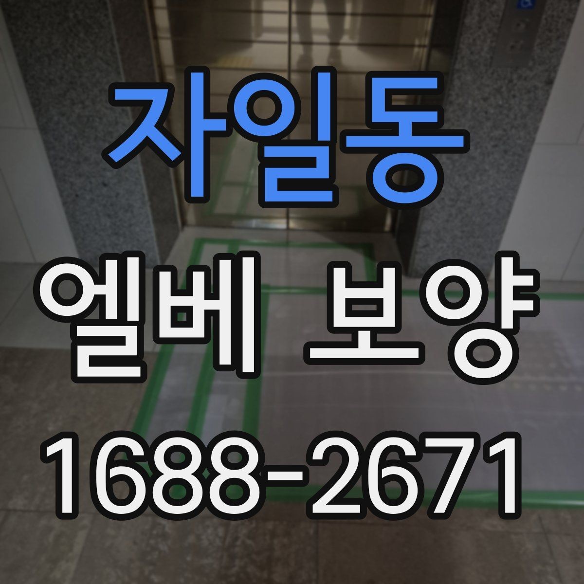 자일동 엘베 보양 작업 전후 사진으로 기록하는 까닭