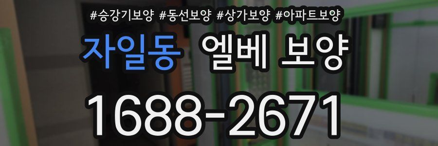 자일동 엘베 보양