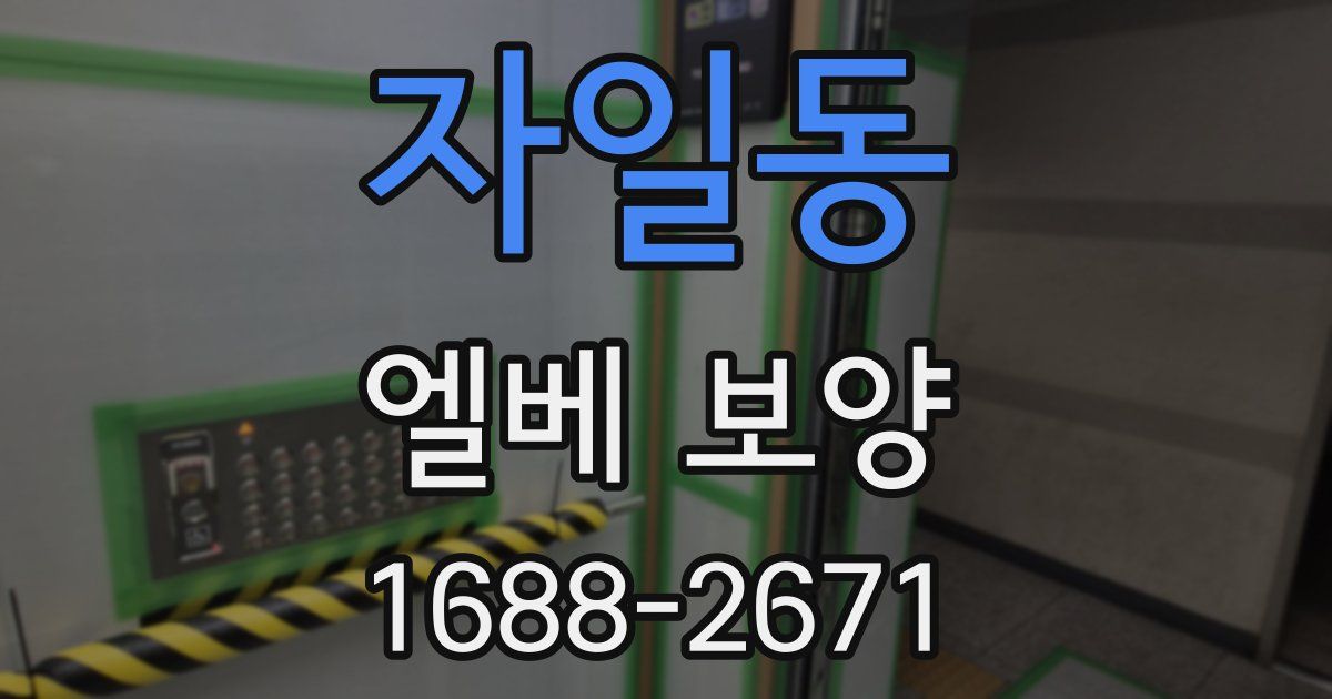 자일동 엘베 보양