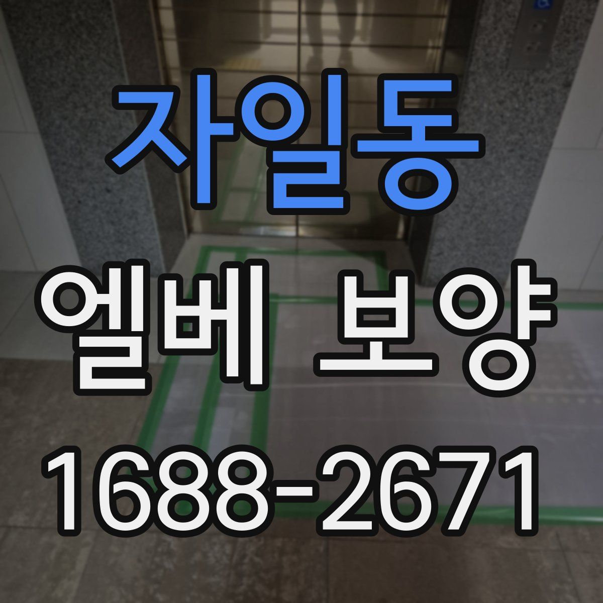 자일동 엘베 보양