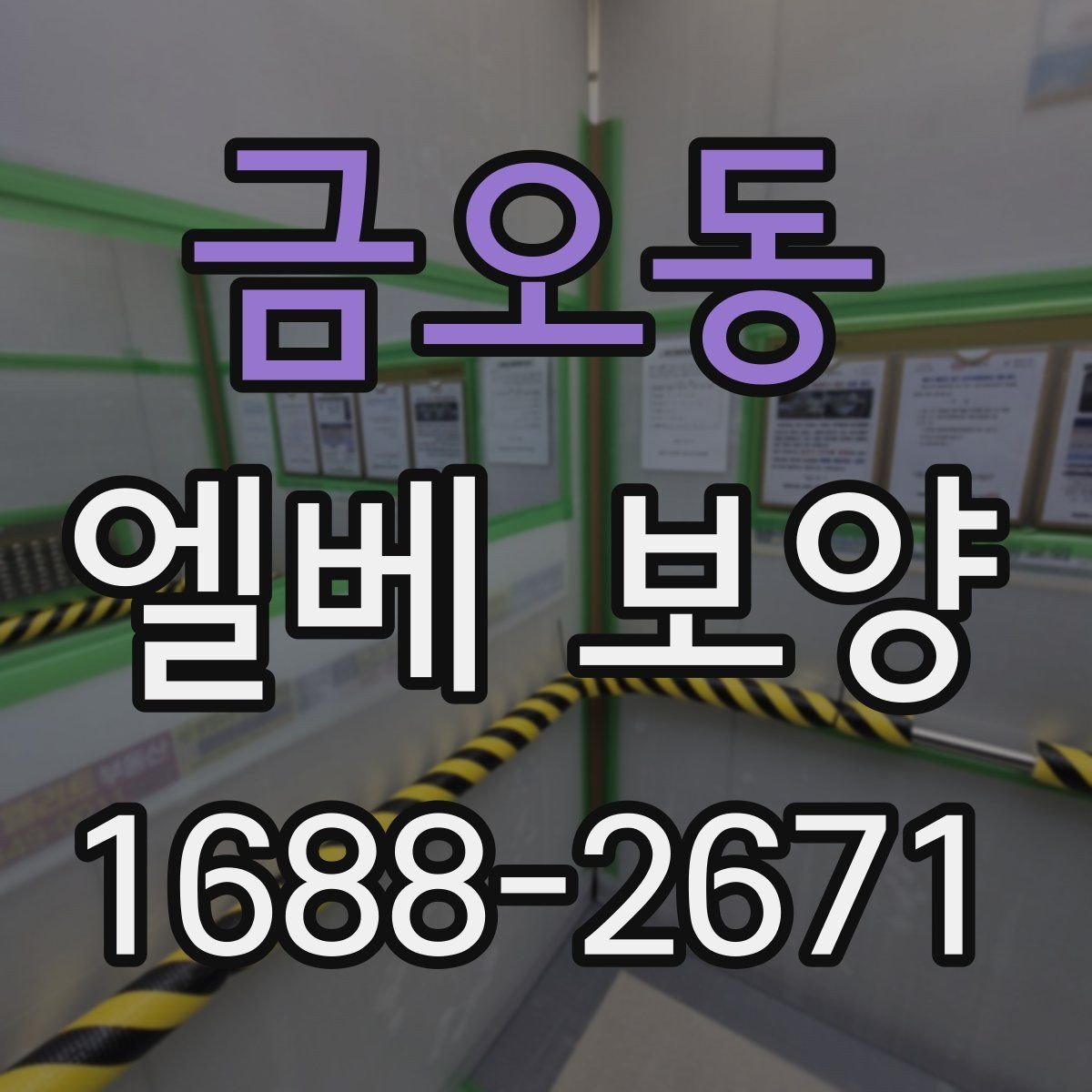 금오동 엘베 보양 출입문 테두리 손상을 줄이는 마감 요령