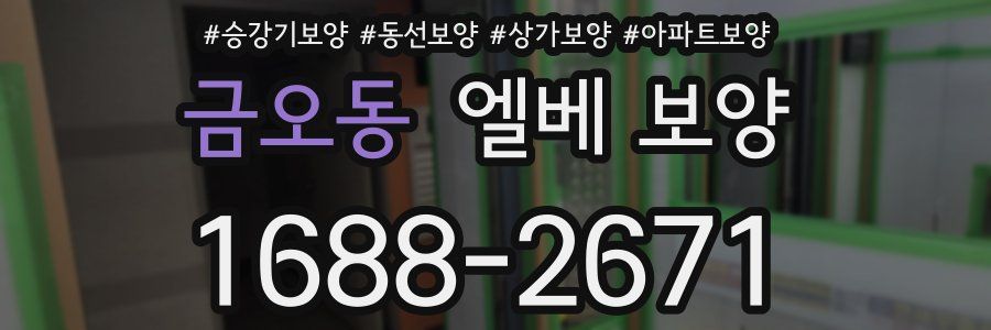 금오동 엘베 보양