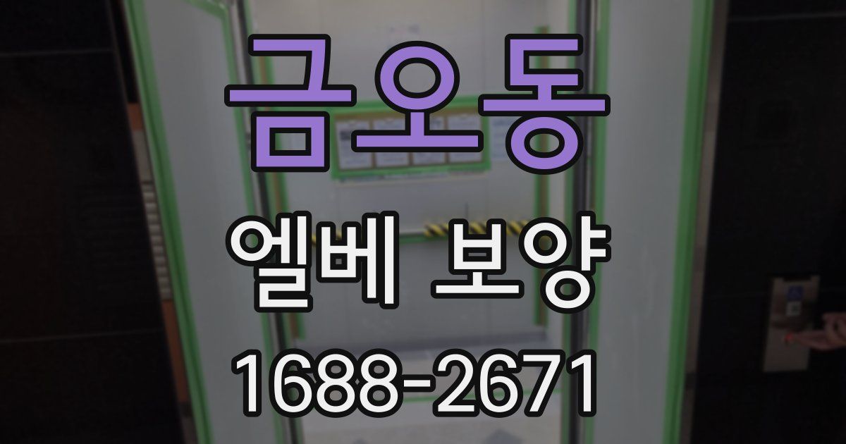 금오동 엘베 보양