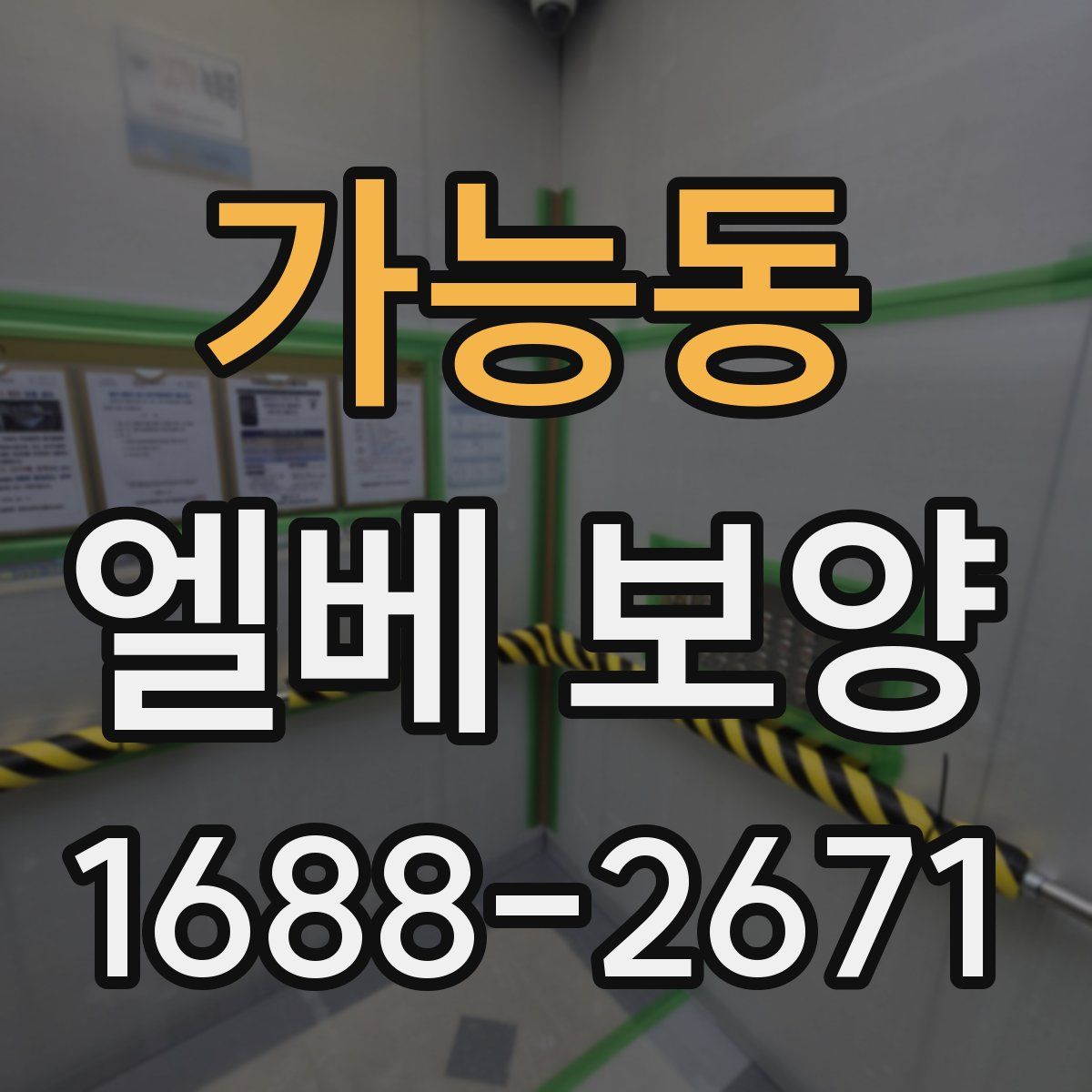 가능동 엘베 보양