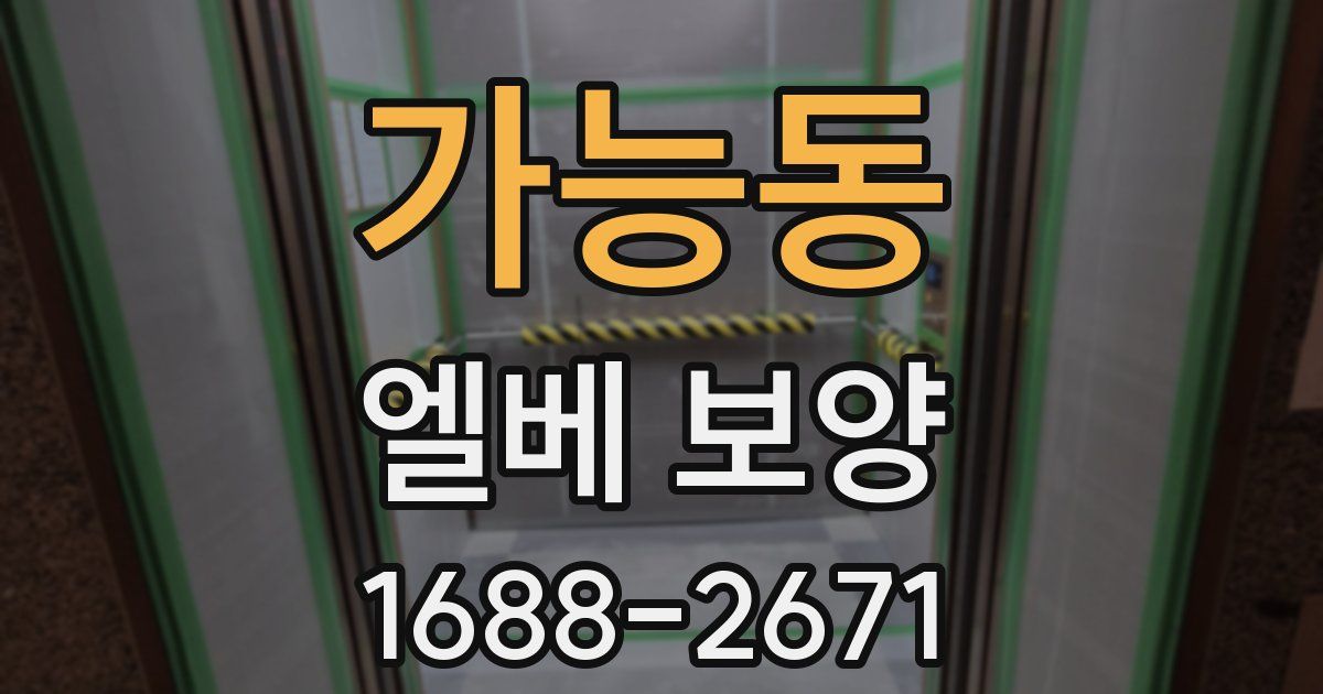 가능동 엘베 보양