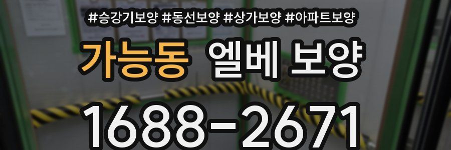 가능동 엘베 보양