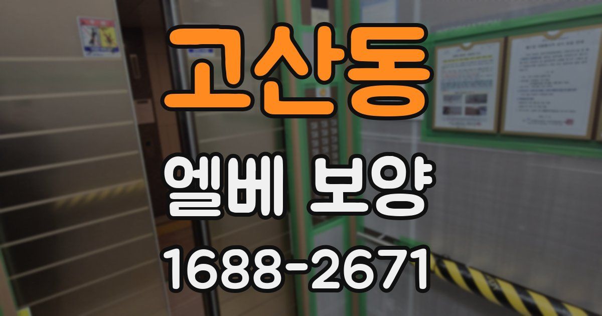 고산동 엘베 보양