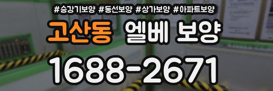 고산동 엘베 보양
