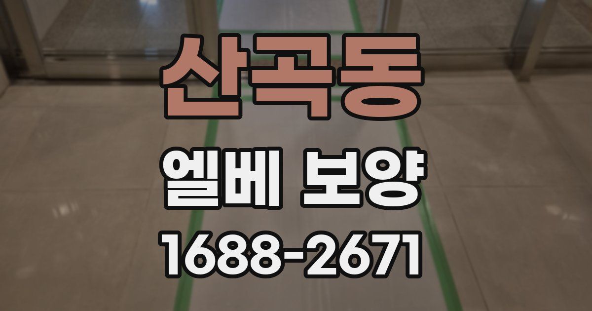 산곡동 엘베 보양