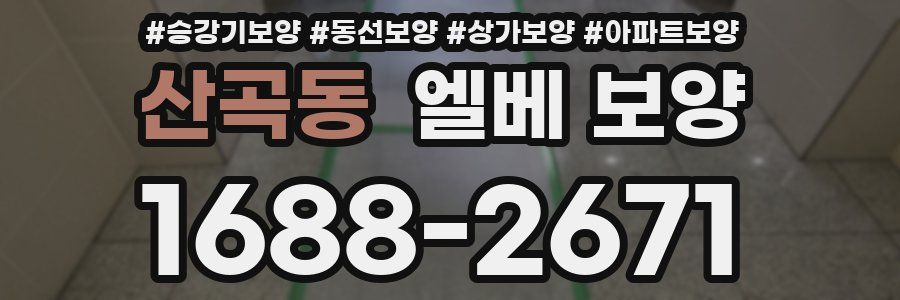 산곡동 엘베 보양