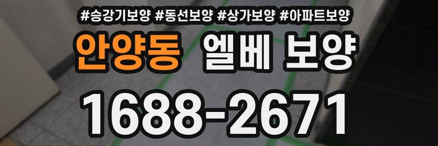 안양동 엘베 보양