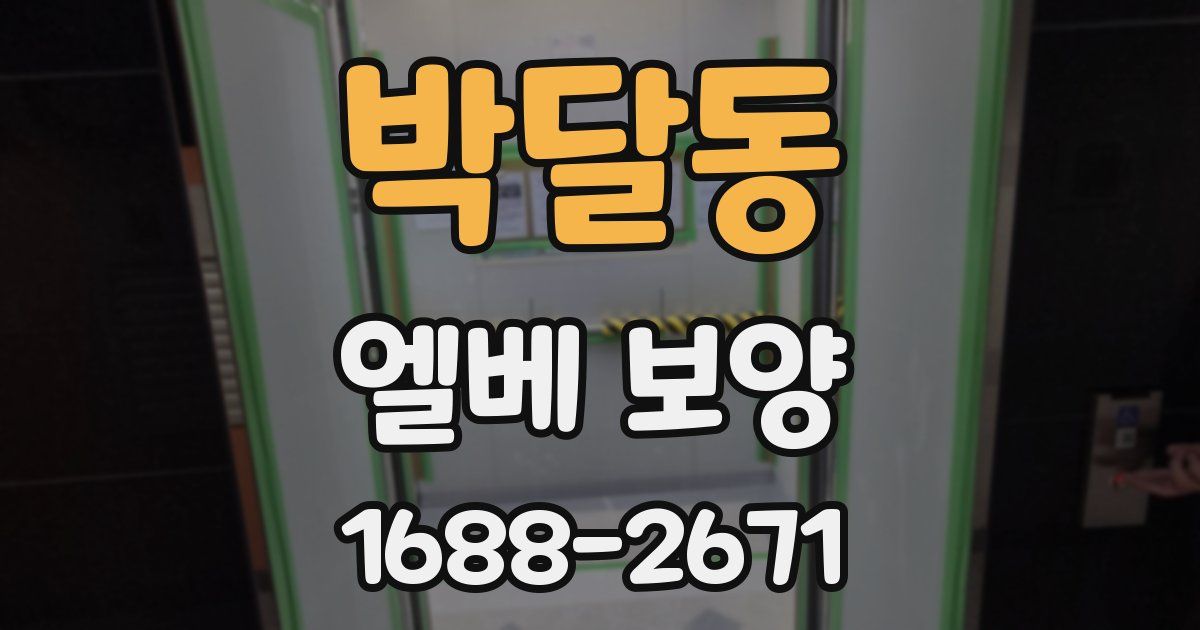 박달동 엘베 보양