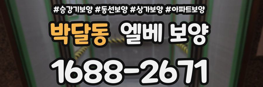 박달동 엘베 보양
