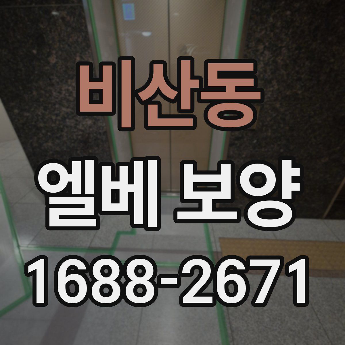 비산동 엘베 보양