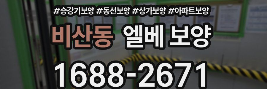 비산동 엘베 보양