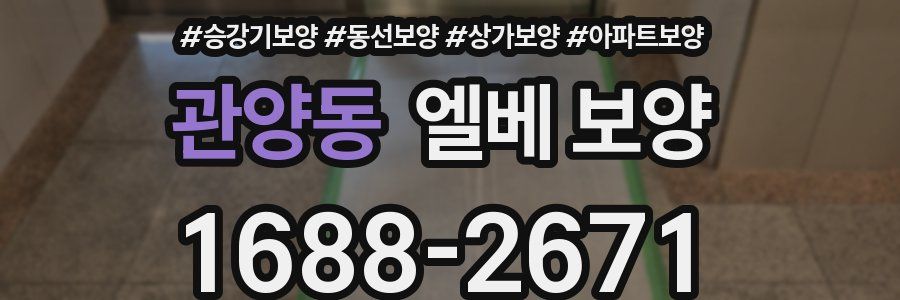 관양동 엘베 보양
