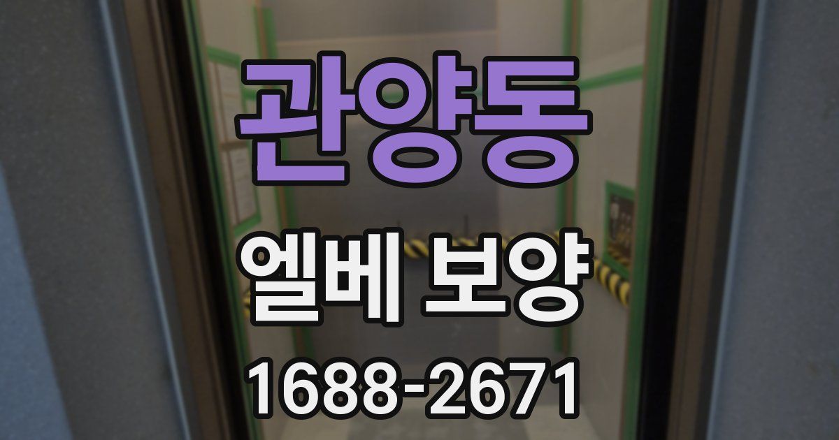 관양동 엘베 보양