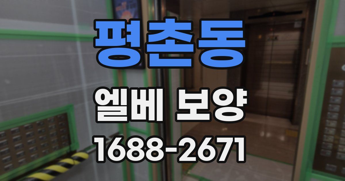 평촌동 엘베 보양