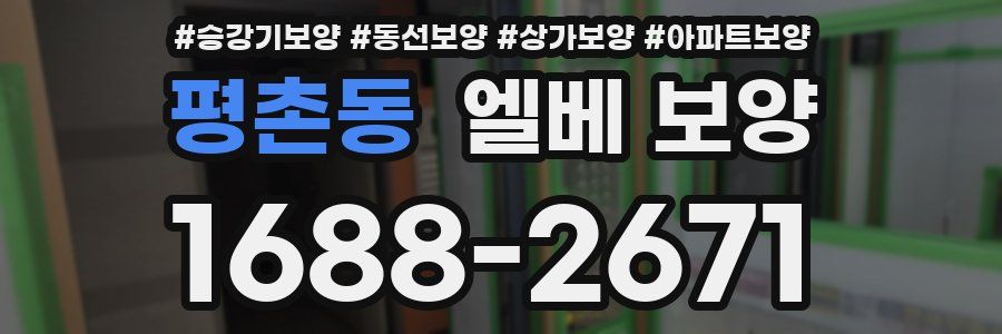 평촌동 엘베 보양