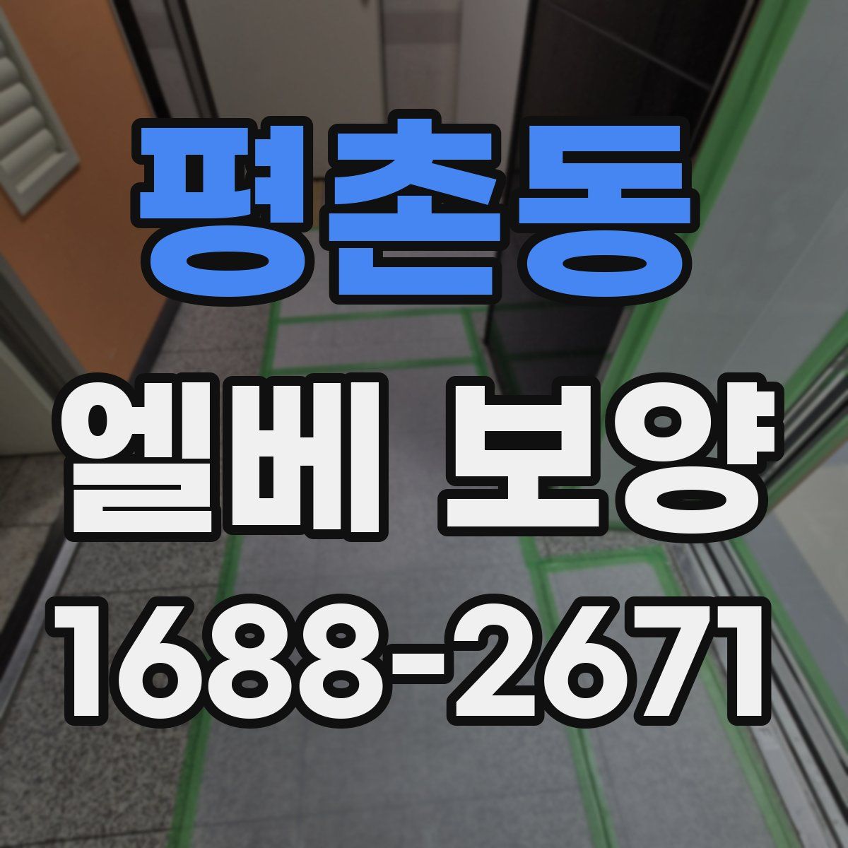 평촌동 엘베 보양