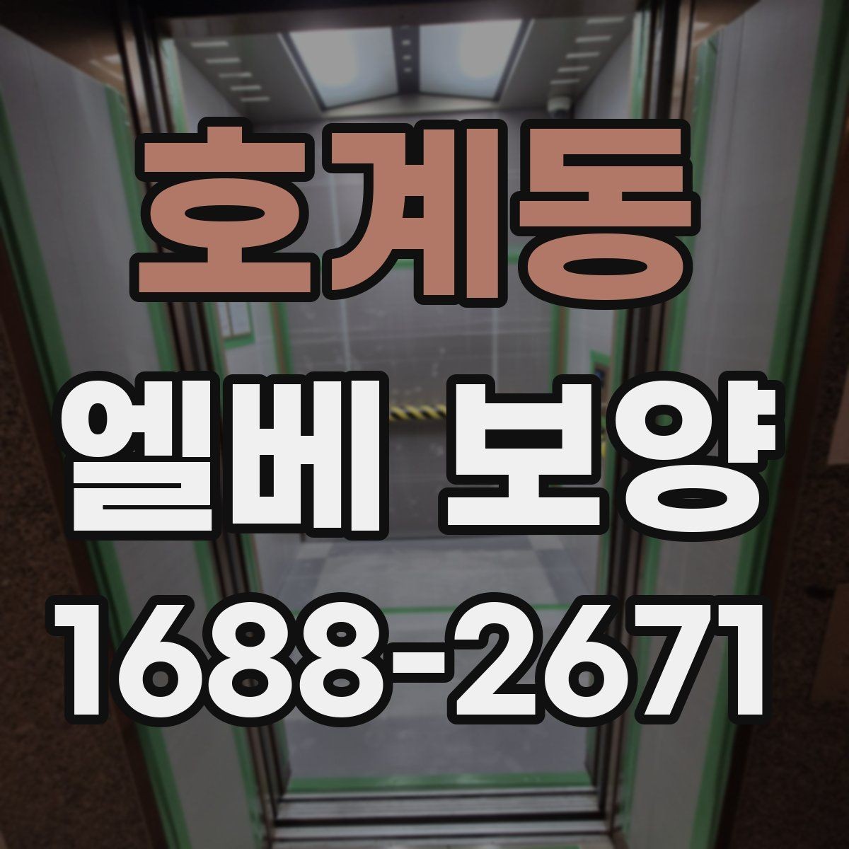 호계동 엘베 보양 시트 마감에서 자주 하는 실수와 예방