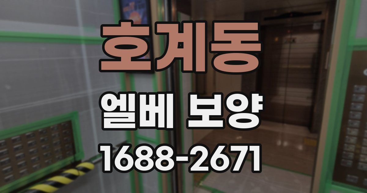 호계동 엘베 보양