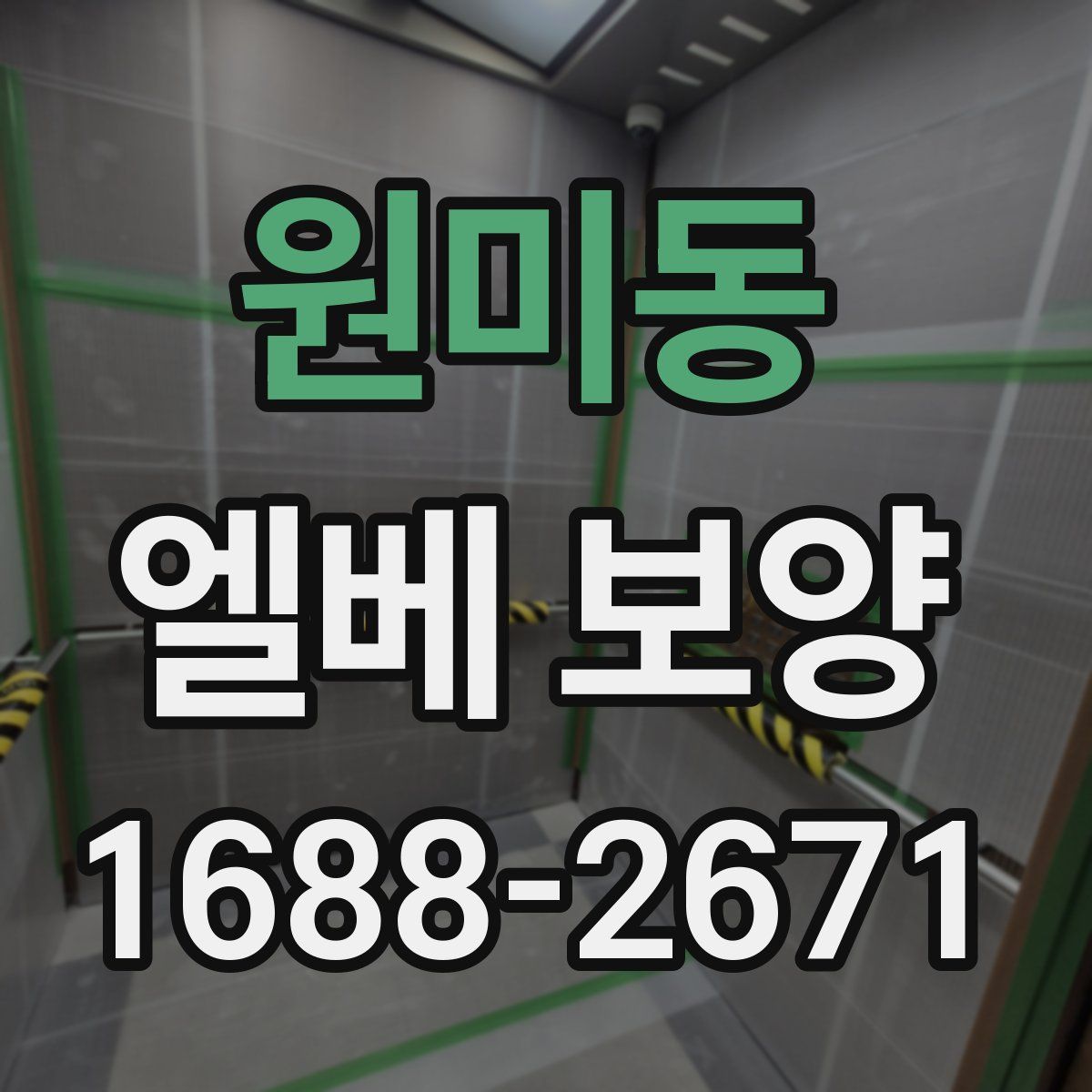 원미동 엘베 보양