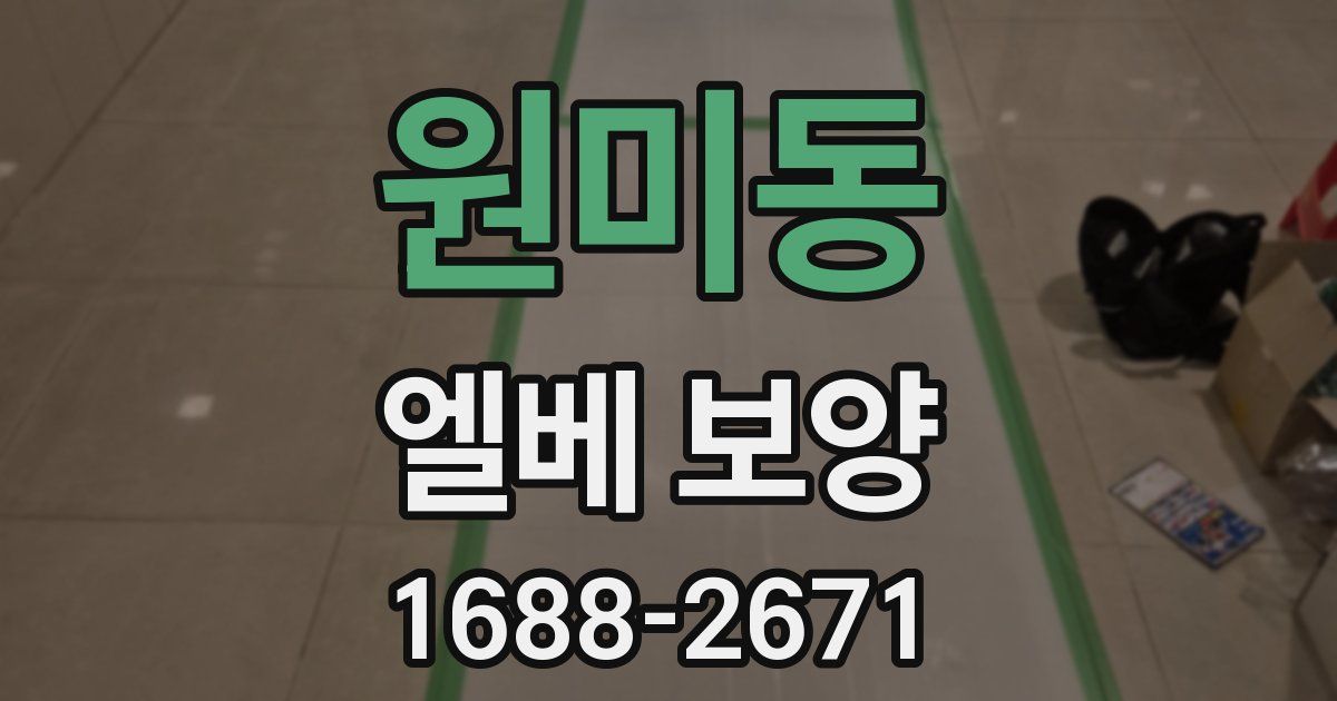 원미동 엘베 보양