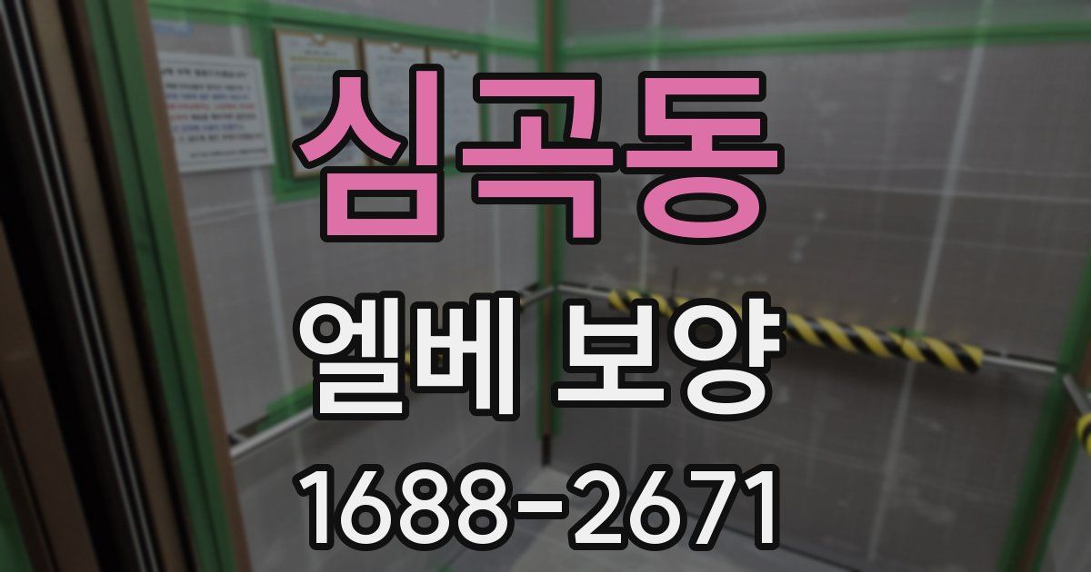심곡동 엘베 보양