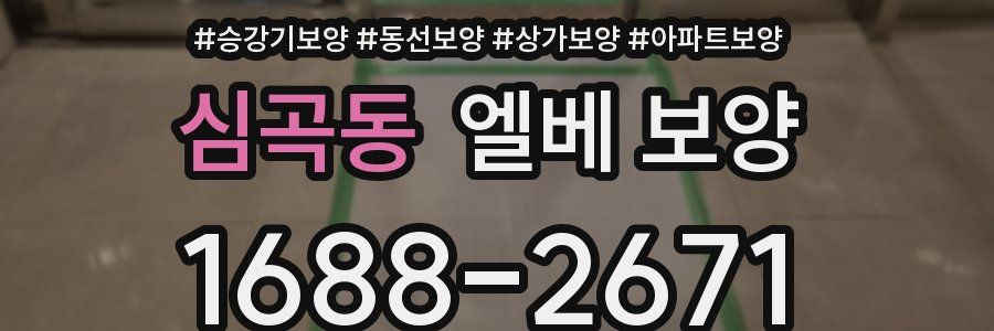 심곡동 엘베 보양