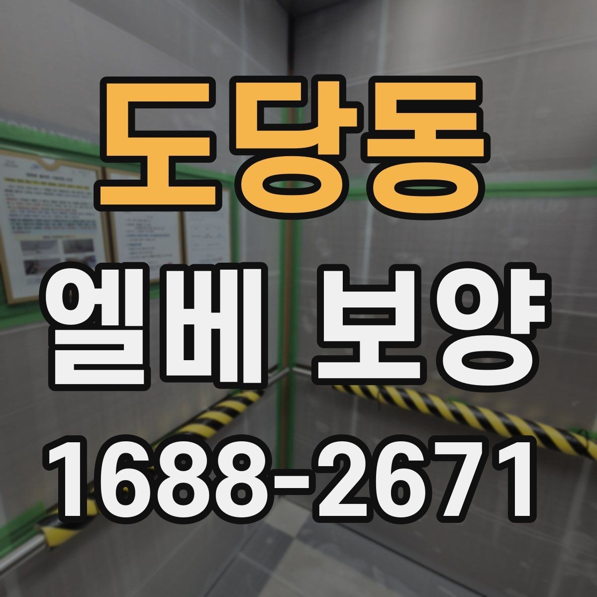 도당동 엘베 보양 출입문 테두리 보호가 중요한 이유