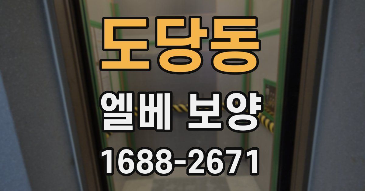 도당동 엘베 보양