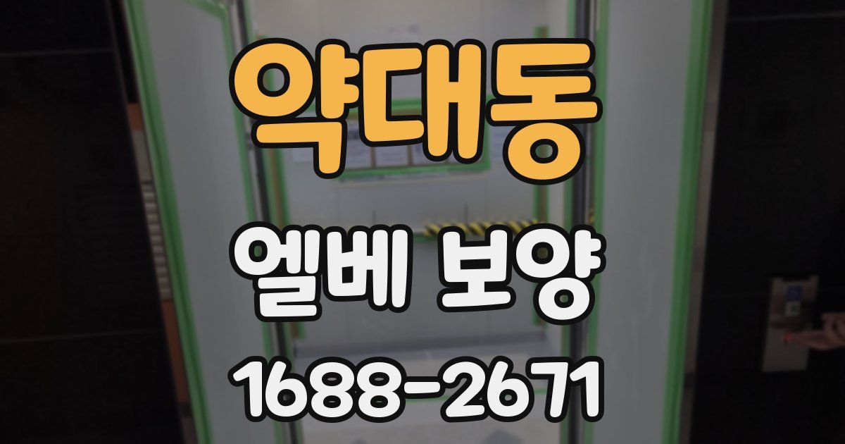 약대동 엘베 보양