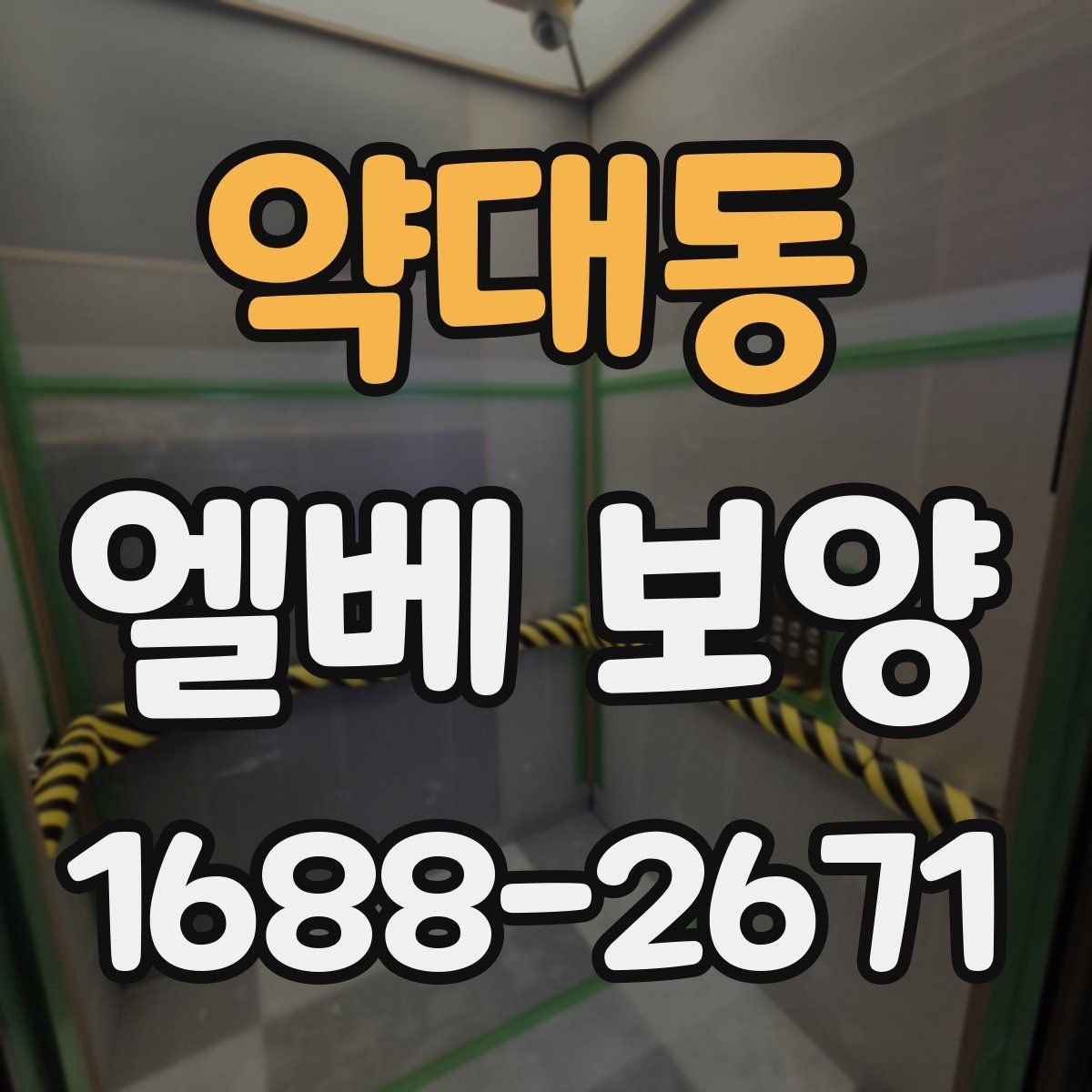 약대동 엘베 보양