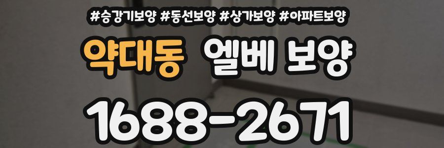 약대동 엘베 보양