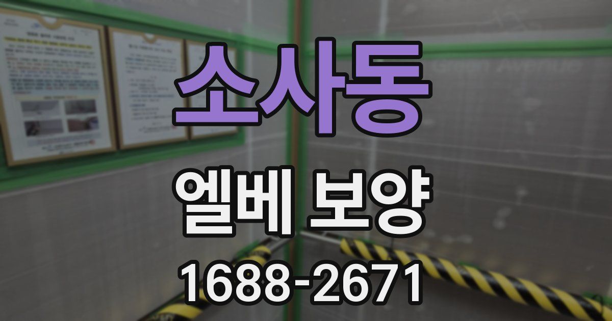 소사동 엘베 보양