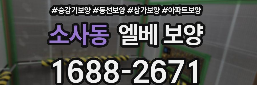 소사동 엘베 보양