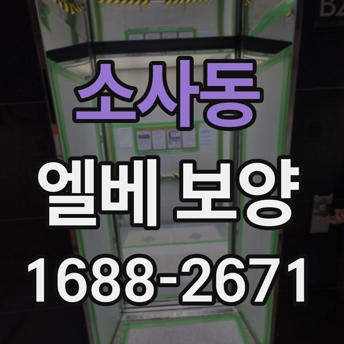 소사동 엘베 보양