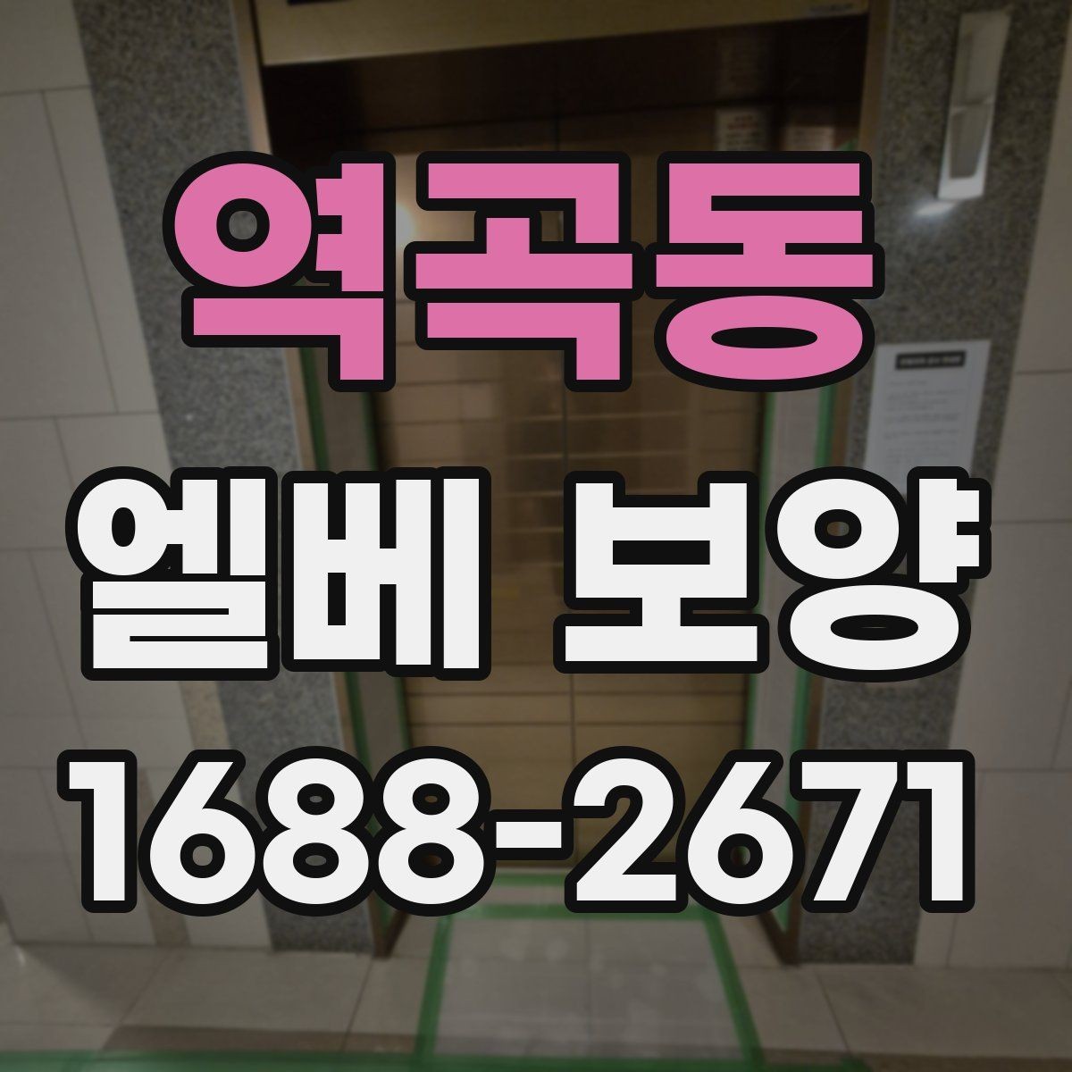 역곡동 엘베 보양 현장별 보호 범위와 순서가 달라지는 이유