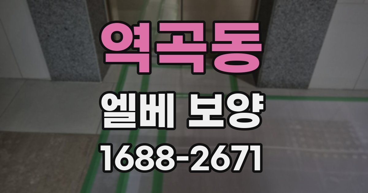 역곡동 엘베 보양