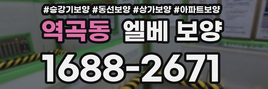 역곡동 엘베 보양