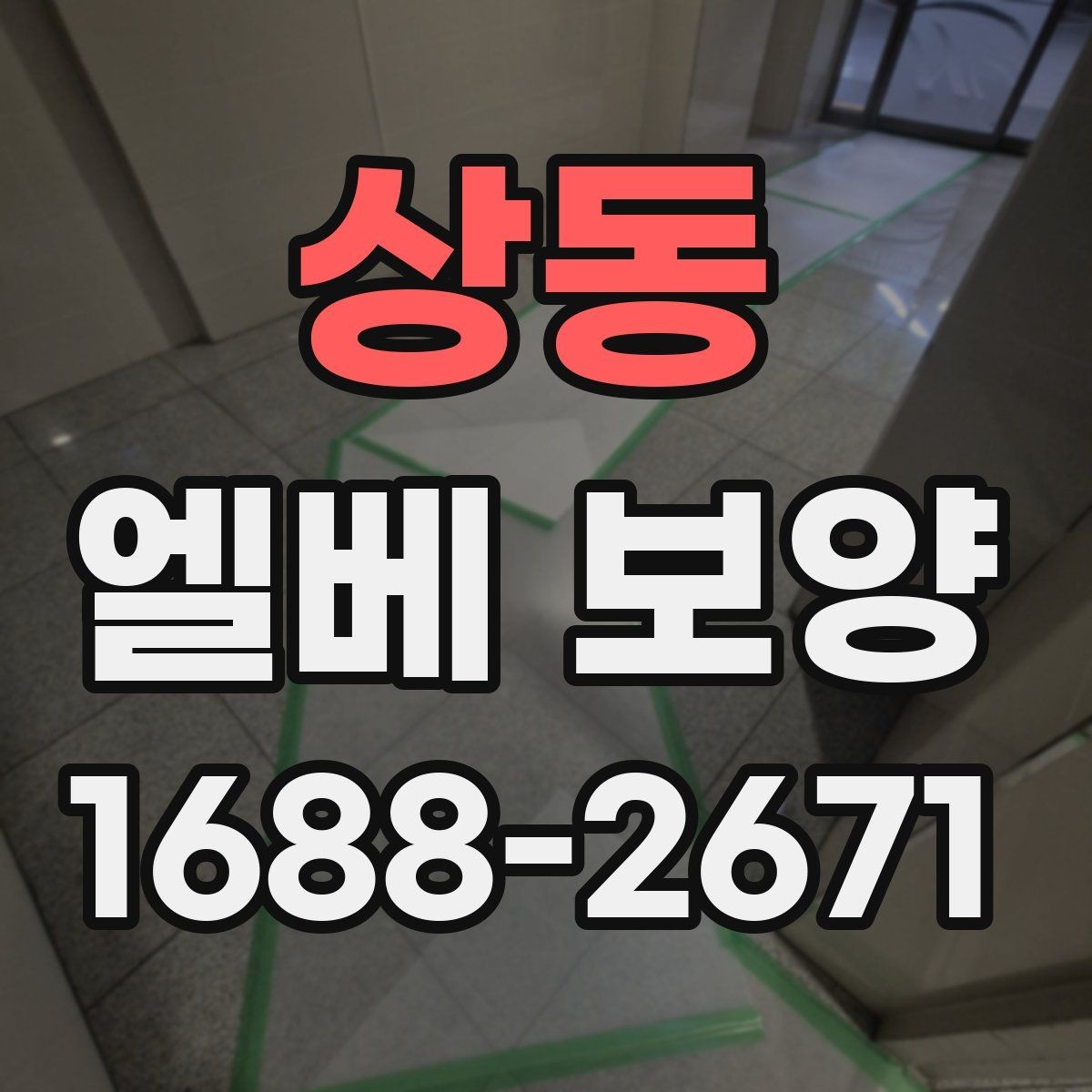 상동 엘베 보양 보행 동선이 복잡한 현장에서 먼저 볼 점