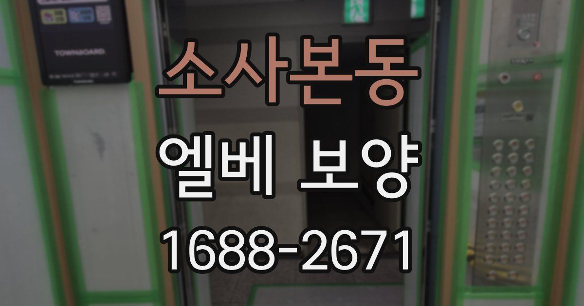 소사본동 엘베 보양