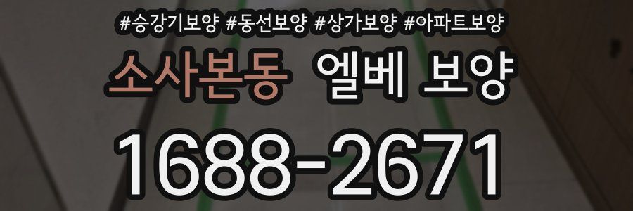 소사본동 엘베 보양