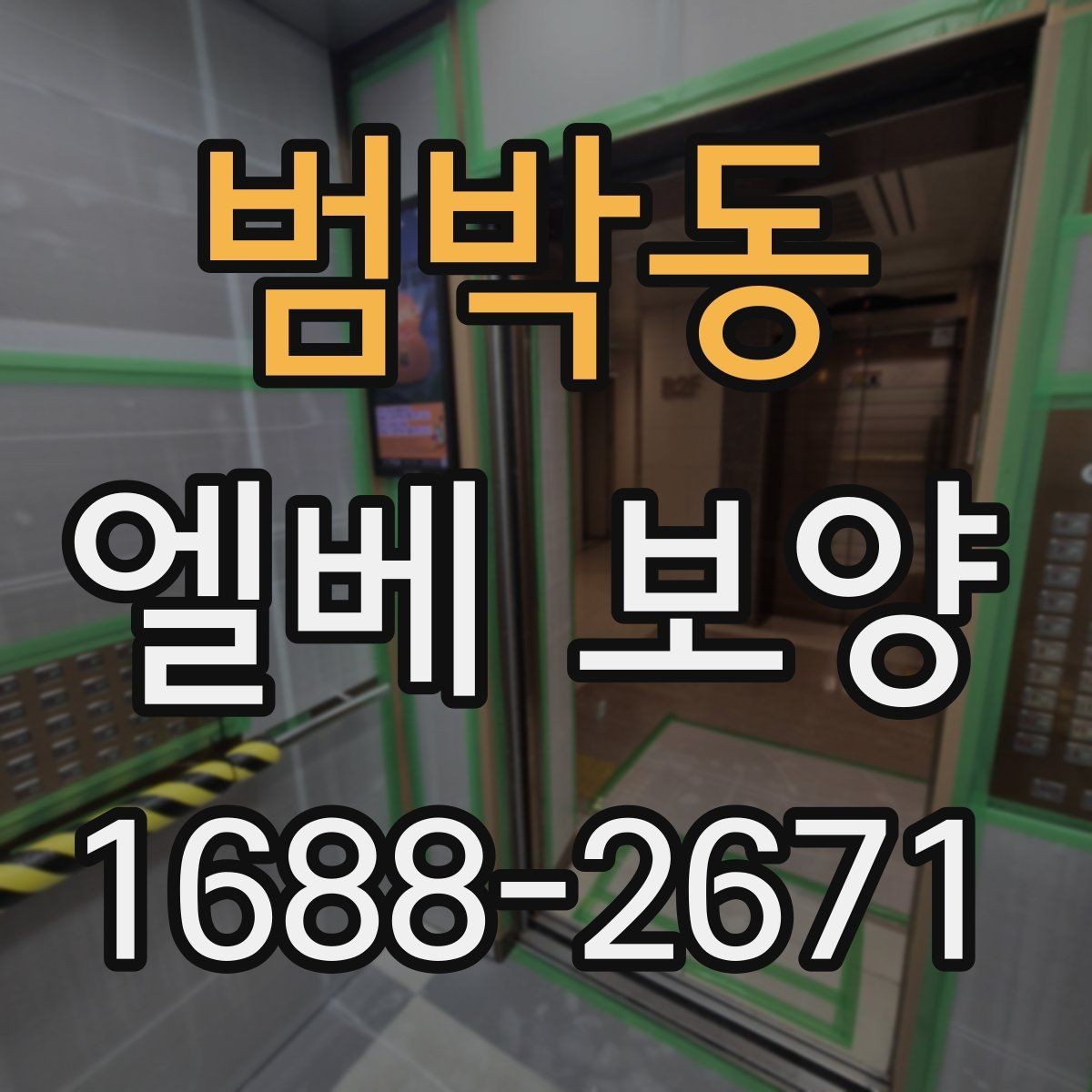범박동 엘베 보양 보양 사진 기록을 하는 이유