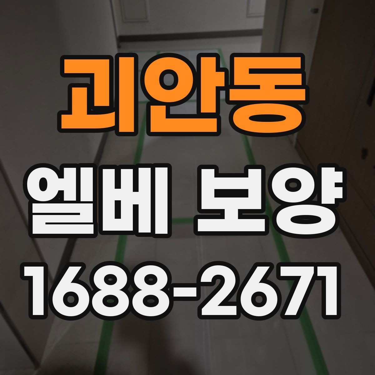 괴안동 엘베 보양 현장별 촬영 기록으로 남겨야 하는 순간