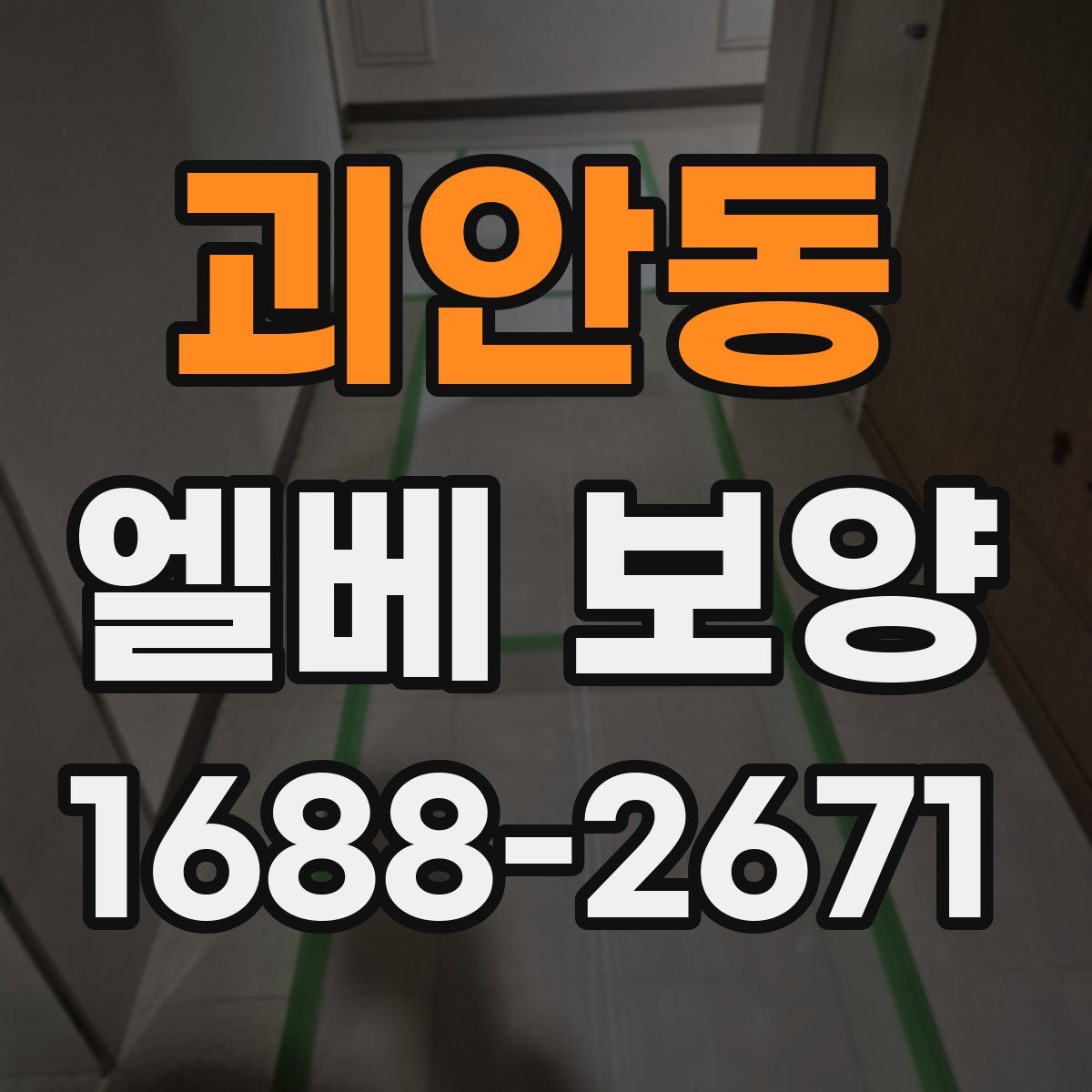괴안동 엘베 보양