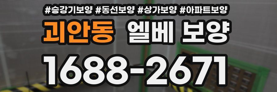 괴안동 엘베 보양