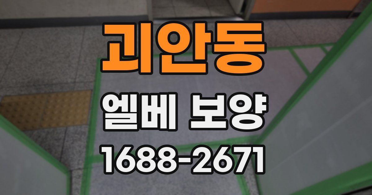 괴안동 엘베 보양